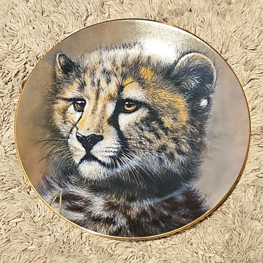 ✨️Princeton Gallery Cubs of Big Cats Collection Plate Cheetah Cub